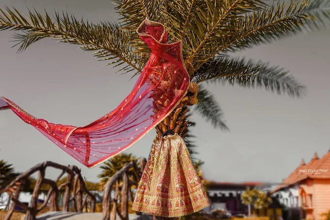 Singh Digital Films - Wedding Photographer in Mughalsarai