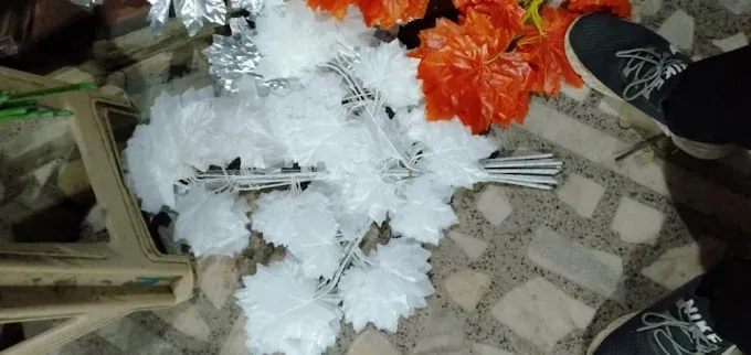 Ashrfia Flower Garden