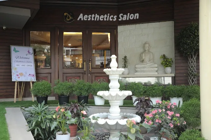 Aesthetics Salon