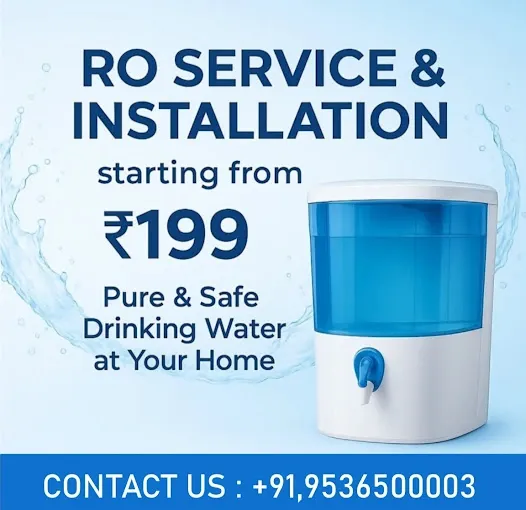 ECOSAFE INDIA - RO SERVICE - R O Service in Meerut