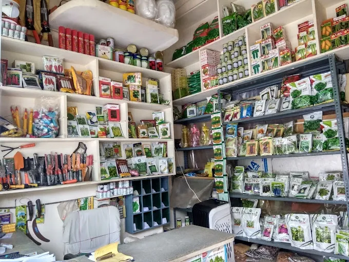 Saraswati seeds - Seed Shop in Varanasi