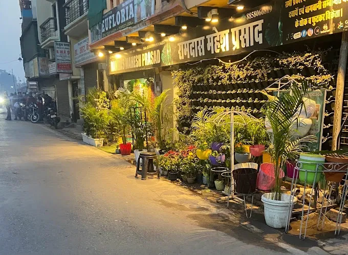 RAMDAS MAHESH PRASAD - Seed Shop in Varanasi
