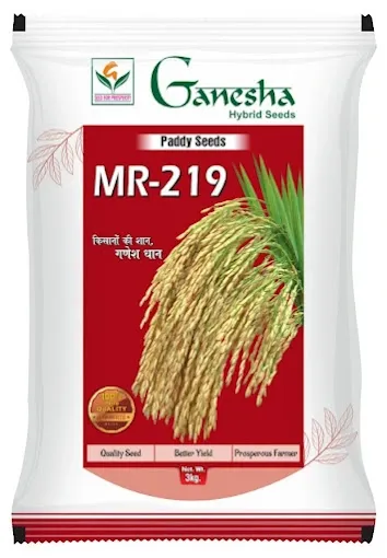 GANESHA HYBRID SEEDS - Seed Shop in Varanasi