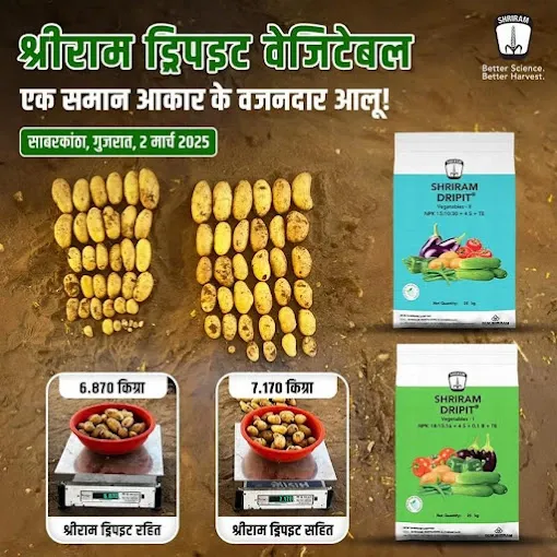 Shriram Farm Solutions - Seed Shop in Varanasi