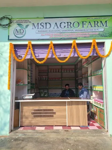 MSD AGRO FARM - Seed Shop in Varanasi