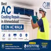 DN AC WALA