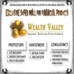 Wealth Valley Insurance Marketing Pvt Ltd - Loan Providers in Varanasi